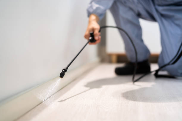 Licensed Pest Control service in Mirrormont, WA - Show Me Pest Control